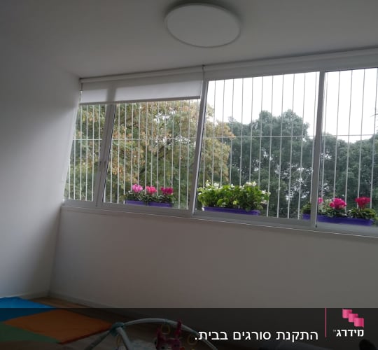 חלון עם מסגרת מתכת ופרחים בעציצים סגולים